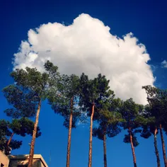 Today in Tehran; clean and sunny day in winter