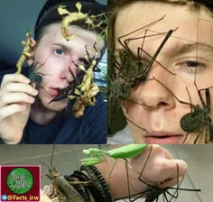 پسر 19ساله آلمانی که با پرورش و فروش حشرات عجیب به عنوان 