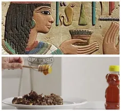 در مصر باستان#زنان از#مدفوع_تمساح به همراه عسل و برخی گیا