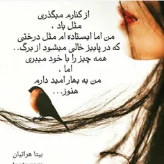 #عکسنوشته#ویسگون