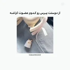 هلو صبح قشنگتون بخیر🎀سوالــ پستــ🎀کسی رو میشناسی بک بده؟ 