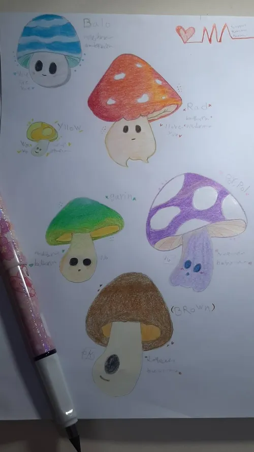 نقاشی قارچ جدید