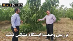 مهدی طاهری خبر داد: بررسی وضعیت، برنامه‌ها و چالش‌های ایس