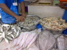 بازار ماهی فروشان عجمان