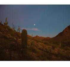 🌵(◍•ᴗ•◍)🌵