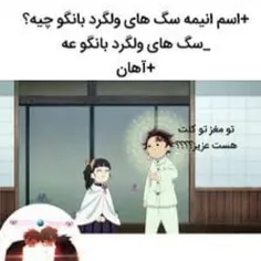 اصلا مغز نداره که😂