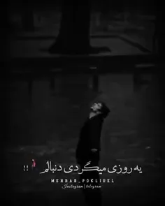 syahyjmal6 74646744