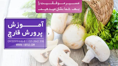 برای اطلاع بیشتر با شماره های 3118 2842-021 ، 09130919446