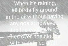 وقتی که باران می بارد، تمام پرندگان بدون هیچ هدفی در حال 