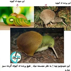 #hoaxfarsifacts#شایعات