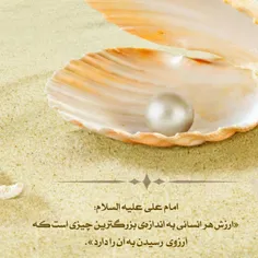 سلام و احترام🌸
