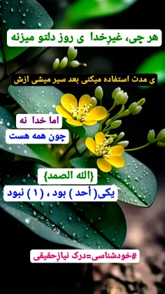 خودشناسی