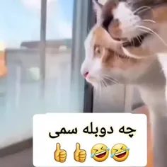 🤣🤣🤣گند پشت گند آخ