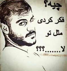 چیه فک کردی مث تو لاشیم.......