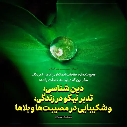 🔆 امام رضا علیه السلام: