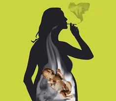 تاثیر دود سیگار مستقم روی جنین*