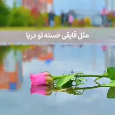 دوستت دارم ♥️💋