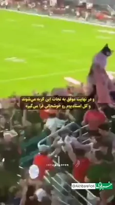 💫⚽️کار زیبای‌ حاضرین در ورزشگاه برای نجات دادن گربه😻🤟👍🤩☺✊🌹🙏