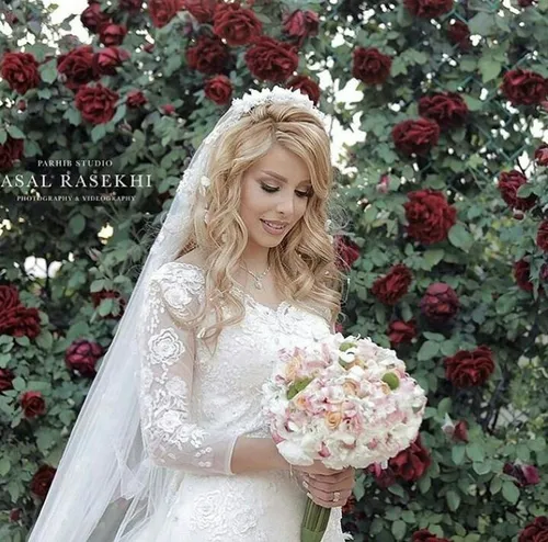 گوناگون bride-dress 27893123 - عکس ویسگون