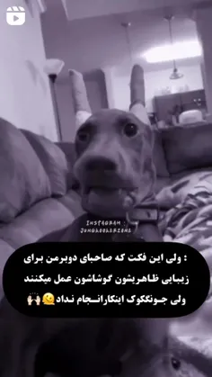 هعی البته که جونگکوکیمون خیلی مهربونه...🥺💗