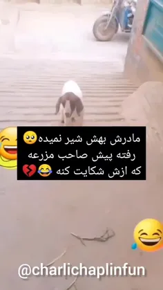 🤣🤣مگه میشه 