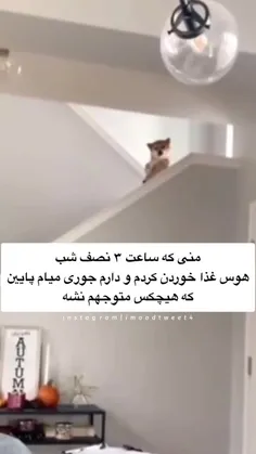 من ساعت سه نصفه‌شب 😂