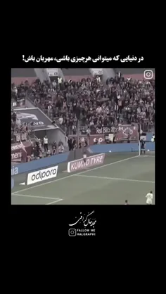 sayeh69 74796982