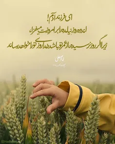 #حدیث_روز #امام_علی