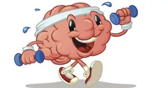 افراد خردمند مغزشان را با ورزش‌های فکری مشغول نمی‌کنند