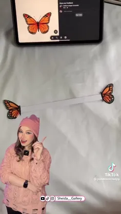 🦋🦋🦋🦋