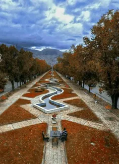 جالبه ببینید نمای پاییزی از طولانی ترین بلوار جنگلی ایران