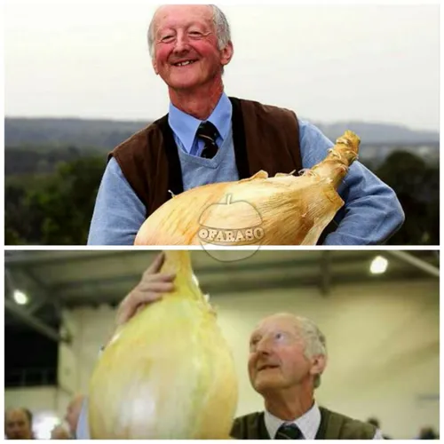 پیت گلیزبوک ، کشاورزی انگلیسی است که موفق شده با جهش ژنتی