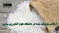 معرفی ارقام برنج تولید شده در دانشگاه علوم کشاورزی ساری