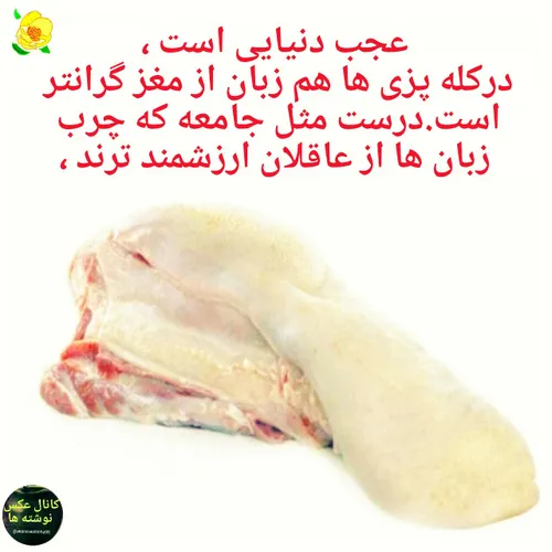 گوناگون bazarb 27993310 - عکس ویسگون