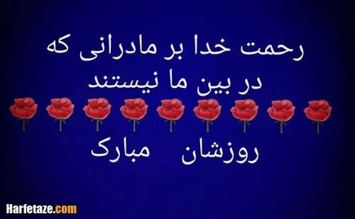  amir13611455 44747502 - عکس ویسگون