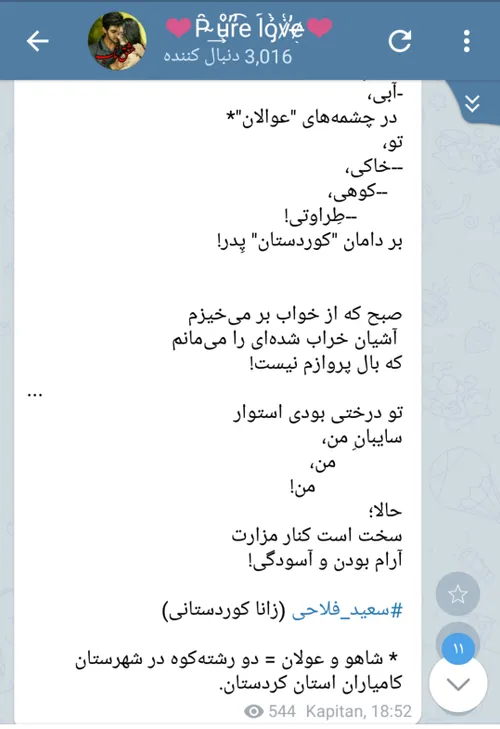 سعید فلاحی