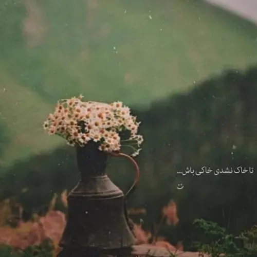 تا خاک نشدی خام باش ت