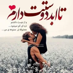 عاشقانه ها amirrezamo 28489136