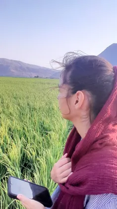 هیچ تورو نمیخواد به‌ات زندگی کنه یاد بگیر باکسی وارد رابط