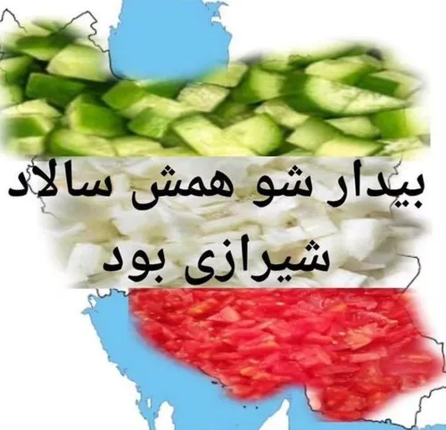 کوتدصسذرز