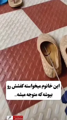 با توجه به فصل گرما و پناه بردن #مار و #عقرب به محیط سرد 