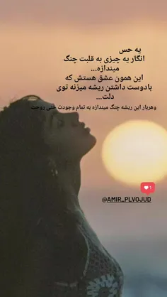 عشق هربارشکست... ولی باز ریشه خواهد زد