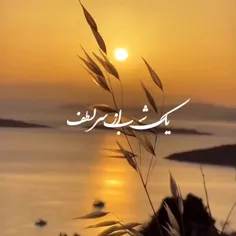 لطفا ورق بزنید 