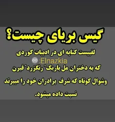 #گیس_بریای_چیست_؟