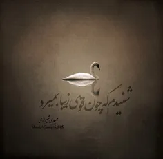 #عکس_نوشته