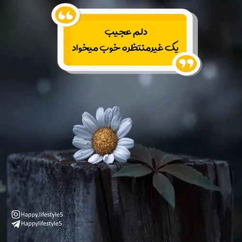 دلم عجیب یک غیرمنتظره خوب میخواد