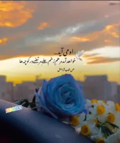 سهم هریک نگاه یک صلوات🙏🌸🙏