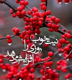 از کاسبی پرسیدند: