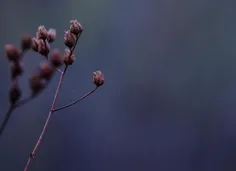 من که یک عمر در خودم بودم