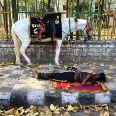 The owner of a horse sleeps on the footpath during a hot 
